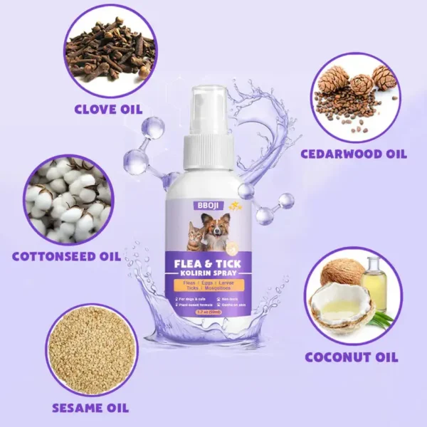 BBOJI™ Flea & Tick Kolirin Spray