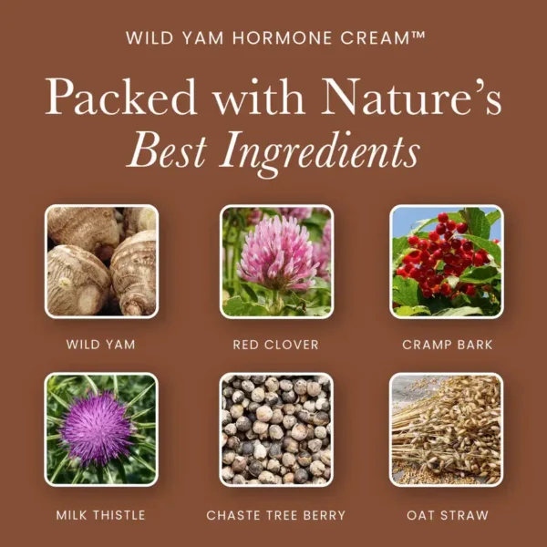 Holistic Health Wild Yam Hormone Cream