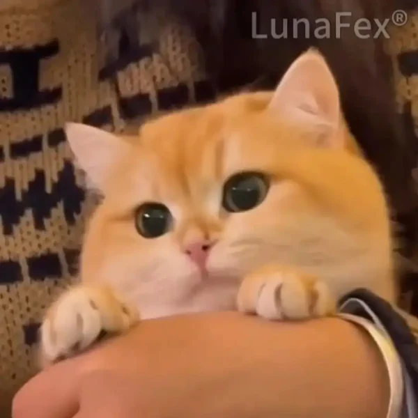 Luna – LunaFex™ My Interactive Robot Kitten